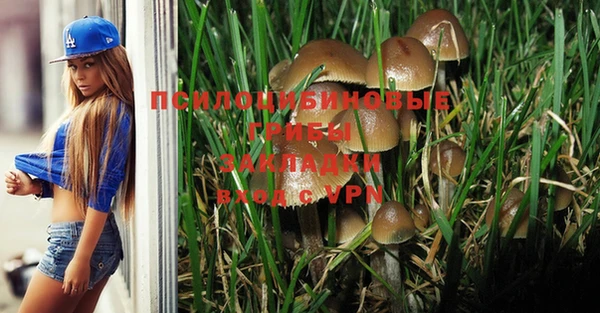 мескалин Струнино