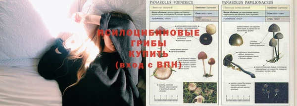 СК Абинск