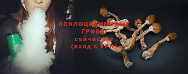 СК Абинск
