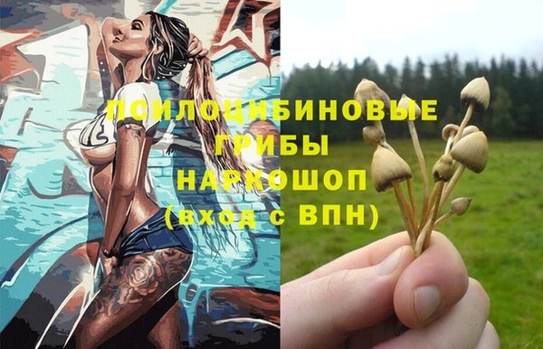 спайс Абаза
